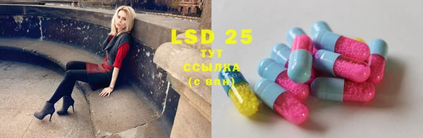 PSILOCYBIN Алзамай