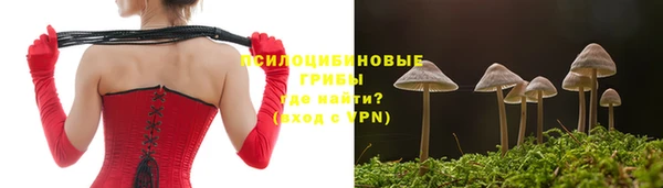 герыч Арсеньев