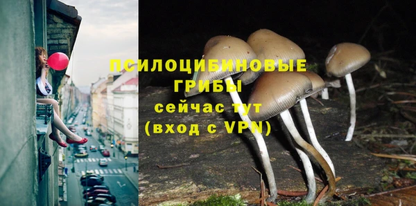 герыч Арсеньев