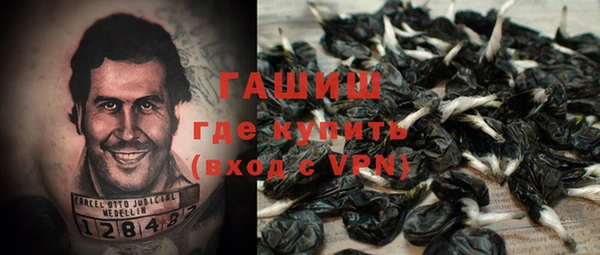 PSILOCYBIN Алзамай