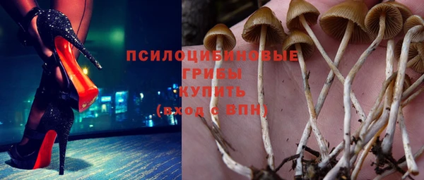 герыч Арсеньев