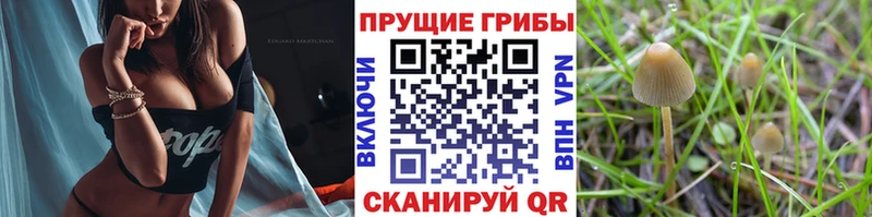 Галлюциногенные грибы мицелий  Ханты-Мансийск 